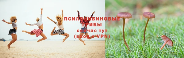 марки lsd Няндома