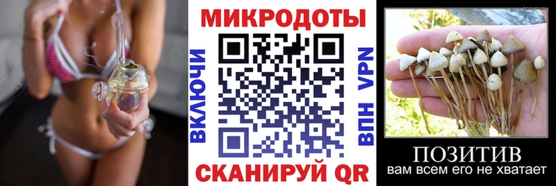 Галлюциногенные грибы прущие грибы  Альметьевск 
