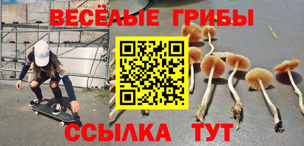 Псилоцибиновые грибы ЛСД  Вход с VPN  Альметьевск 