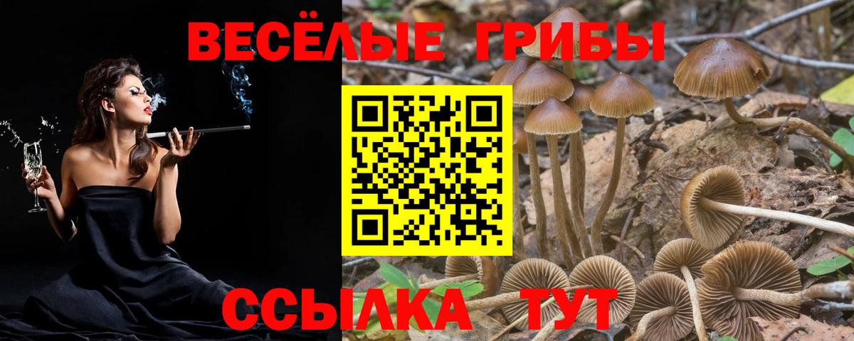 Галлюциногенные грибы ЛСД Альметьевск